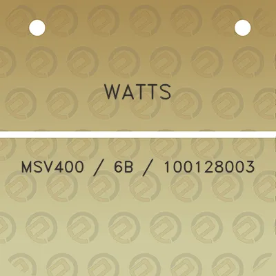 watts-msv400-6b-100128003