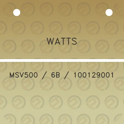 watts-msv500-6b-100129001