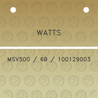 watts-msv500-6b-100129003