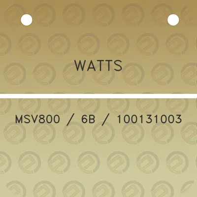 watts-msv800-6b-100131003