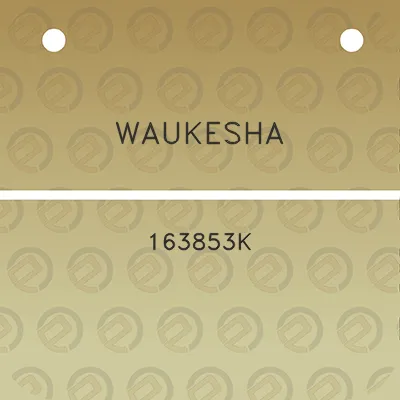 waukesha-163853k