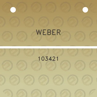 weber-103421