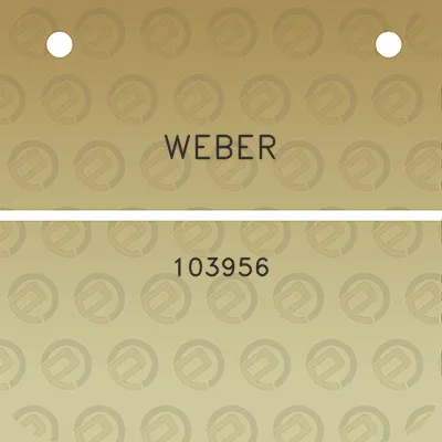 weber-103956