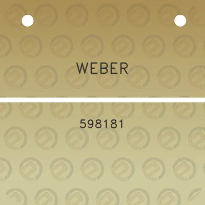 weber-598181