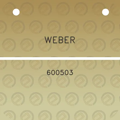 weber-600503