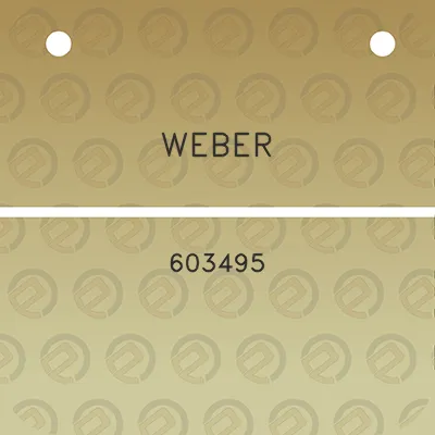 weber-603495