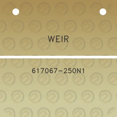 weir-617067-250n1