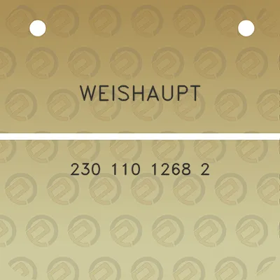 weishaupt-230-110-1268-2