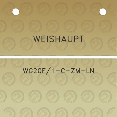 weishaupt-wg20f1-c-zm-ln