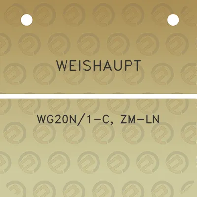 weishaupt-wg20n1-c-zm-ln