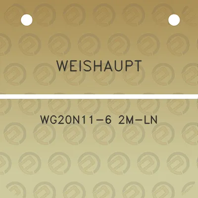 weishaupt-wg20n11-6-2m-ln