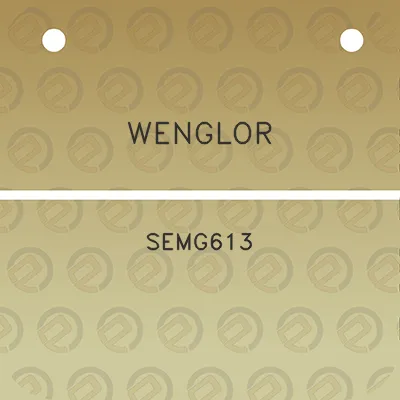 wenglor-semg613