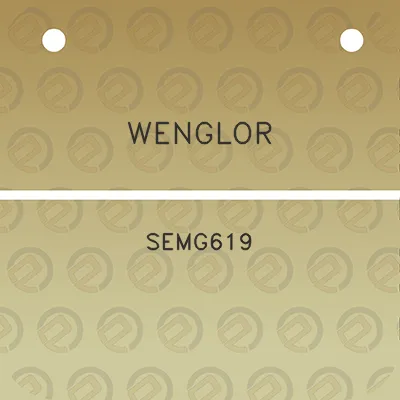 wenglor-semg619