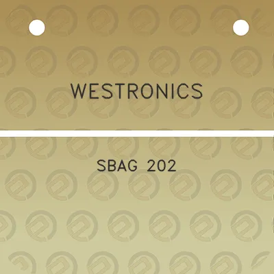 westronics-sbag-202