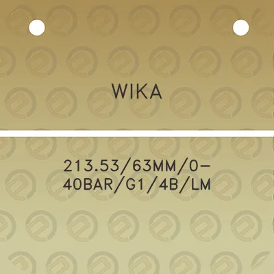 wika-2135363mm0-40barg14blm