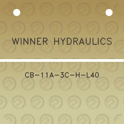 winner-hydraulics-cb-11a-3c-h-l40