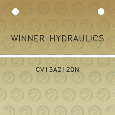 winner-hydraulics-cv13a2120n