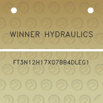 winner-hydraulics-ft3n12h17x07bb4dleg1