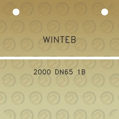 winteb-2000-dn65-1b