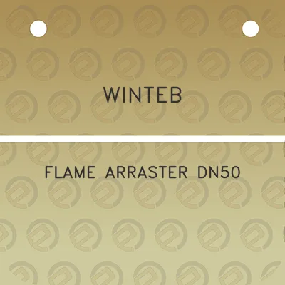 winteb-flame-arraster-dn50