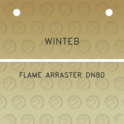 winteb-flame-arraster-dn80