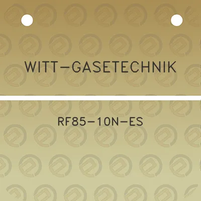 witt-gasetechnik-rf85-10n-es