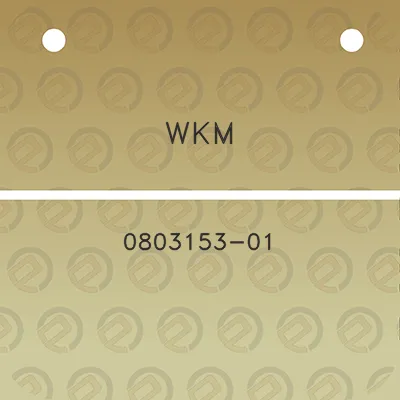 wkm-0803153-01