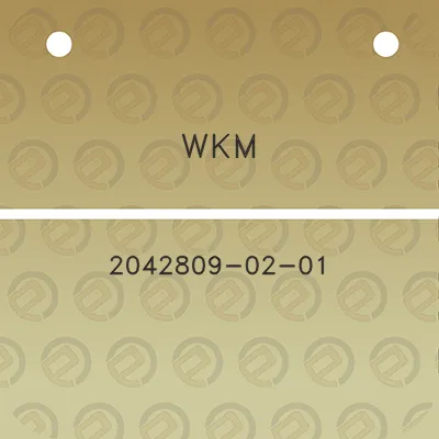 wkm-2042809-02-01