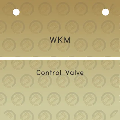 wkm-control-valve