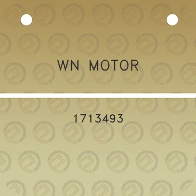 wn-motor-1713493