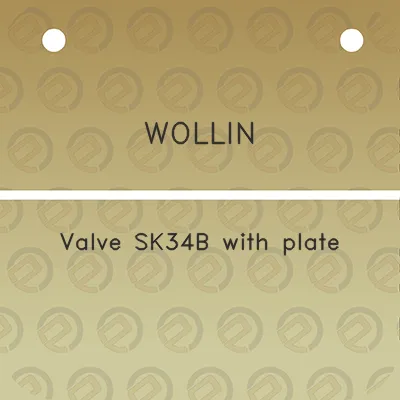 wollin-valve-sk34b-with-plate