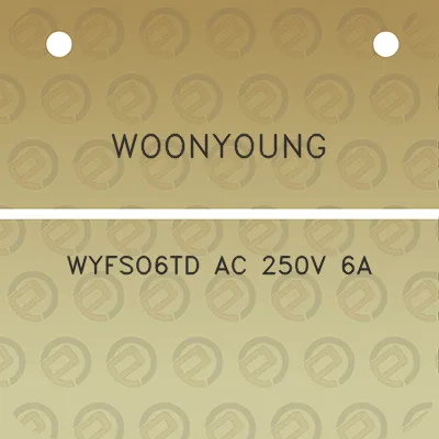 woonyoung-wyfso6td-ac-250v-6a