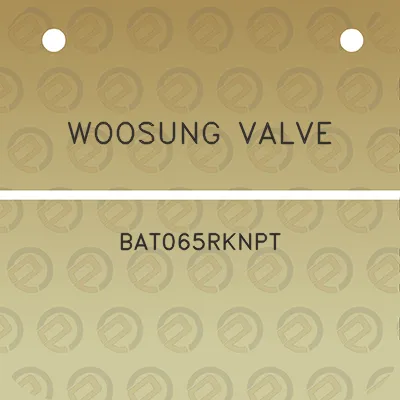 woosung-valve-bat065rknpt