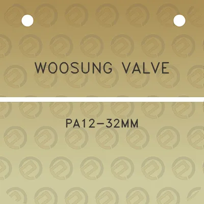 woosung-valve-pa12-32mm