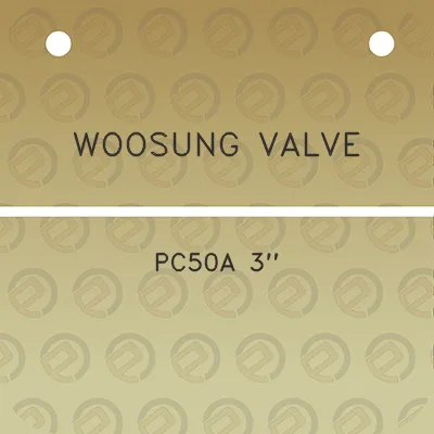 woosung-valve-pc50a-3