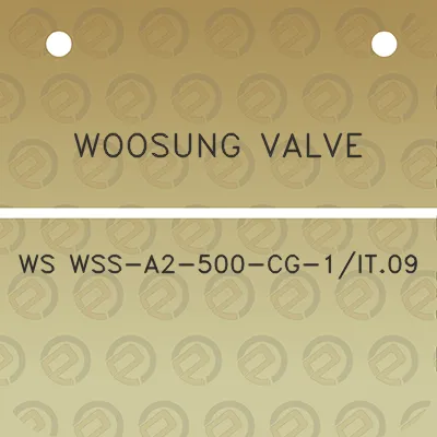 woosung-valve-ws-wss-a2-500-cg-1it09