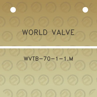 world-valve-wvtb-70-1-1m