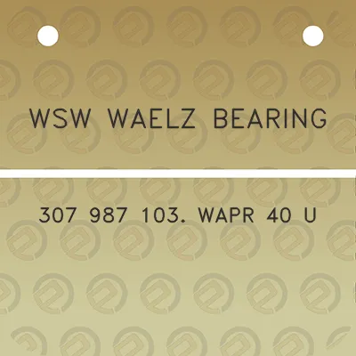 wsw-waelz-bearing-307-987-103-wapr-40-u