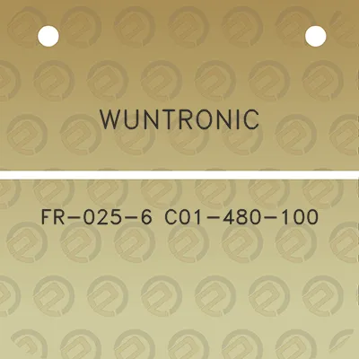 wuntronic-fr-025-6-c01-480-100