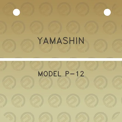 yamashin-model-p-12