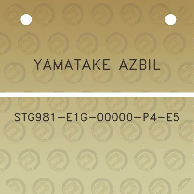 yamatake-azbil-stg981-e1g-00000-p4-e5