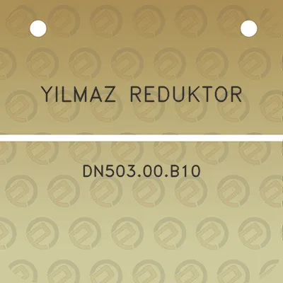 yilmaz-reduktor-dn50300b10