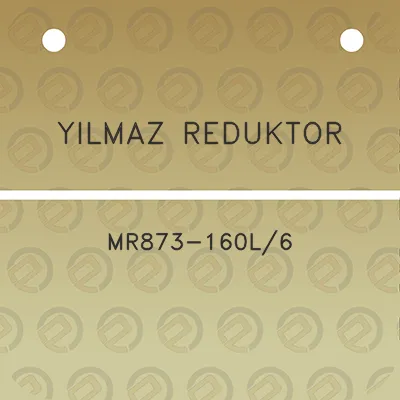 yilmaz-reduktor-mr873-160l6