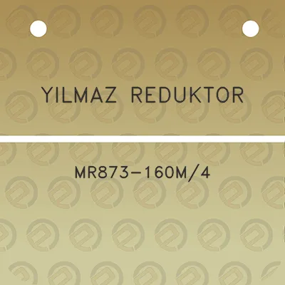 yilmaz-reduktor-mr873-160m4