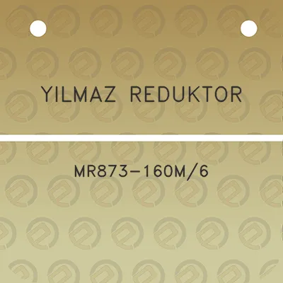 yilmaz-reduktor-mr873-160m6