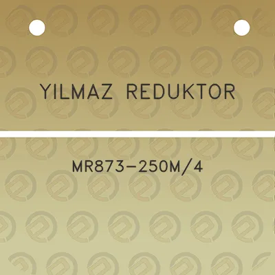 yilmaz-reduktor-mr873-250m4