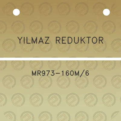 yilmaz-reduktor-mr973-160m6