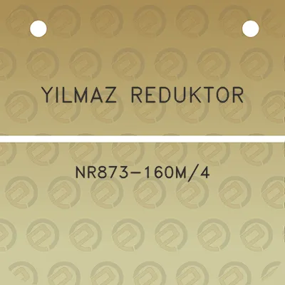 yilmaz-reduktor-nr873-160m4