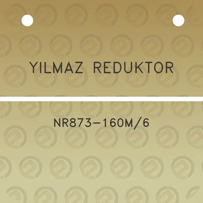 yilmaz-reduktor-nr873-160m6