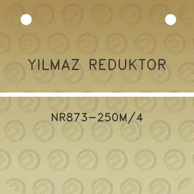 yilmaz-reduktor-nr873-250m4